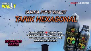 Download lagu Download Gratis Suara Piyik Walet Tarik Hexagonal, Tarikannya paling josss mp3 Download lagu Download Gratis Suara Piyik Walet Tarik Hexagonal, Tarikannya paling josss mp3