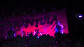 'Freaks Like Me' Alien Boy Live in Italy