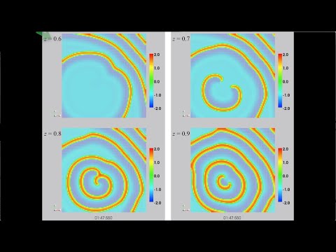 PD Tutorial 5-3: Reentrant wave propagation on 2D plane