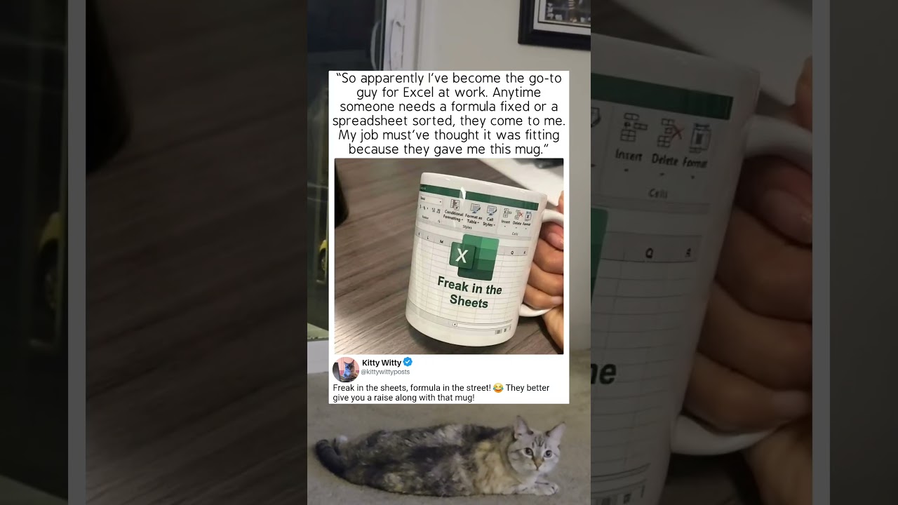 FREAK IN THE EXCEL! 😂 Funniest Excel Gift for the Office Hero! #officehumor