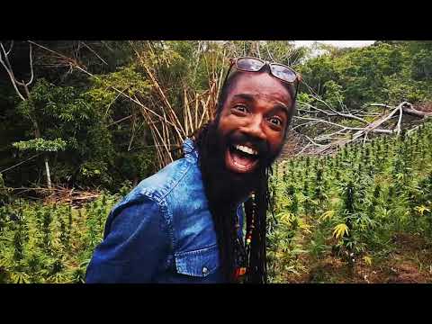 Mystique Productions Jamaica presents FYAH KONKARAH - LOVE EVERY PLANT