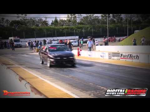 MAREA DT-A #55 - PASQUALETE NO VP SERIES 2015