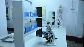 Children's Paradise School Video