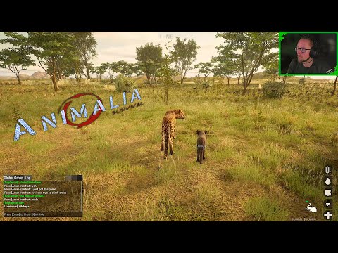 Road to Elder Stage Leopard pt. III | Animalia Survival