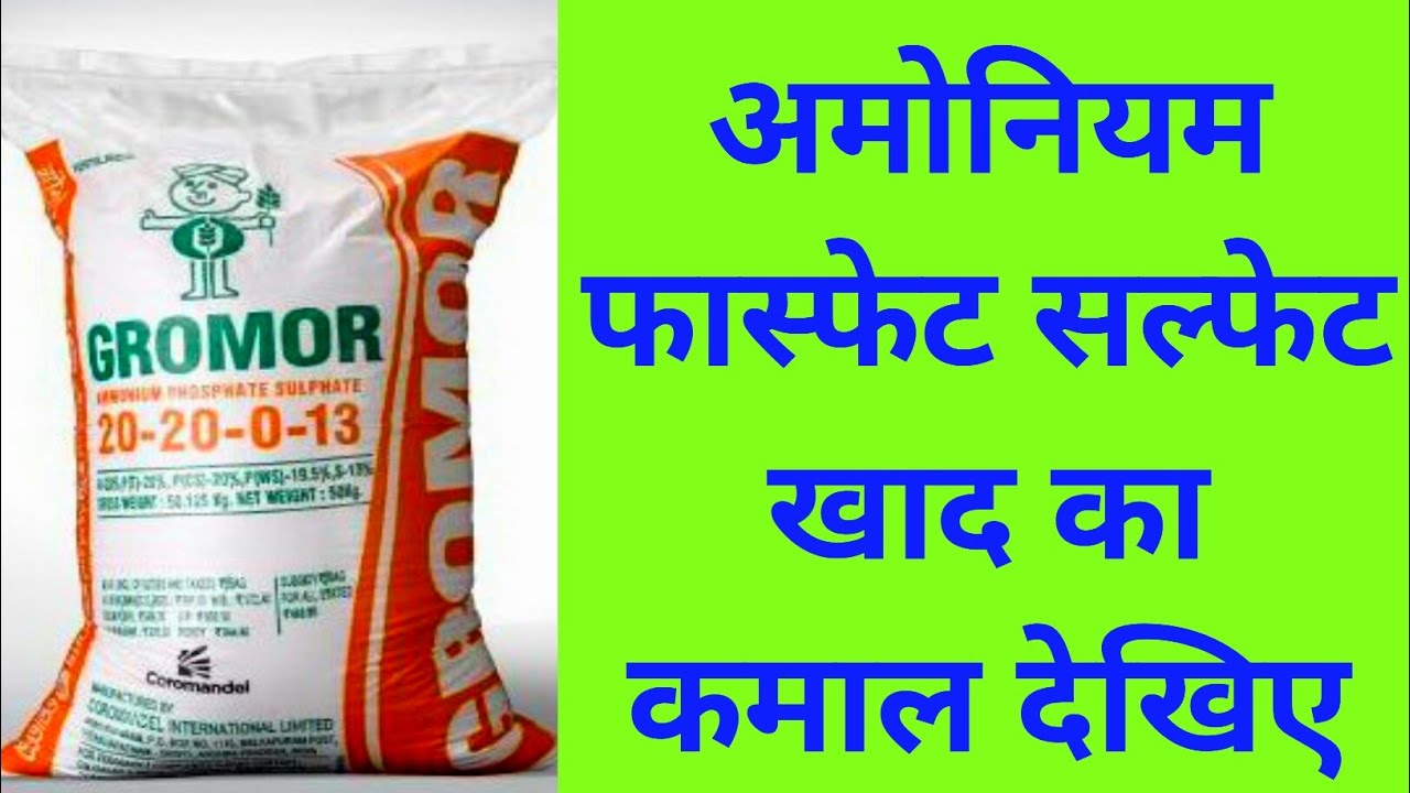 APS 20:20:0:13 खाद| Ammonium Phosphate sulphate fertilizer| NPK (S), onion garlic potatoes