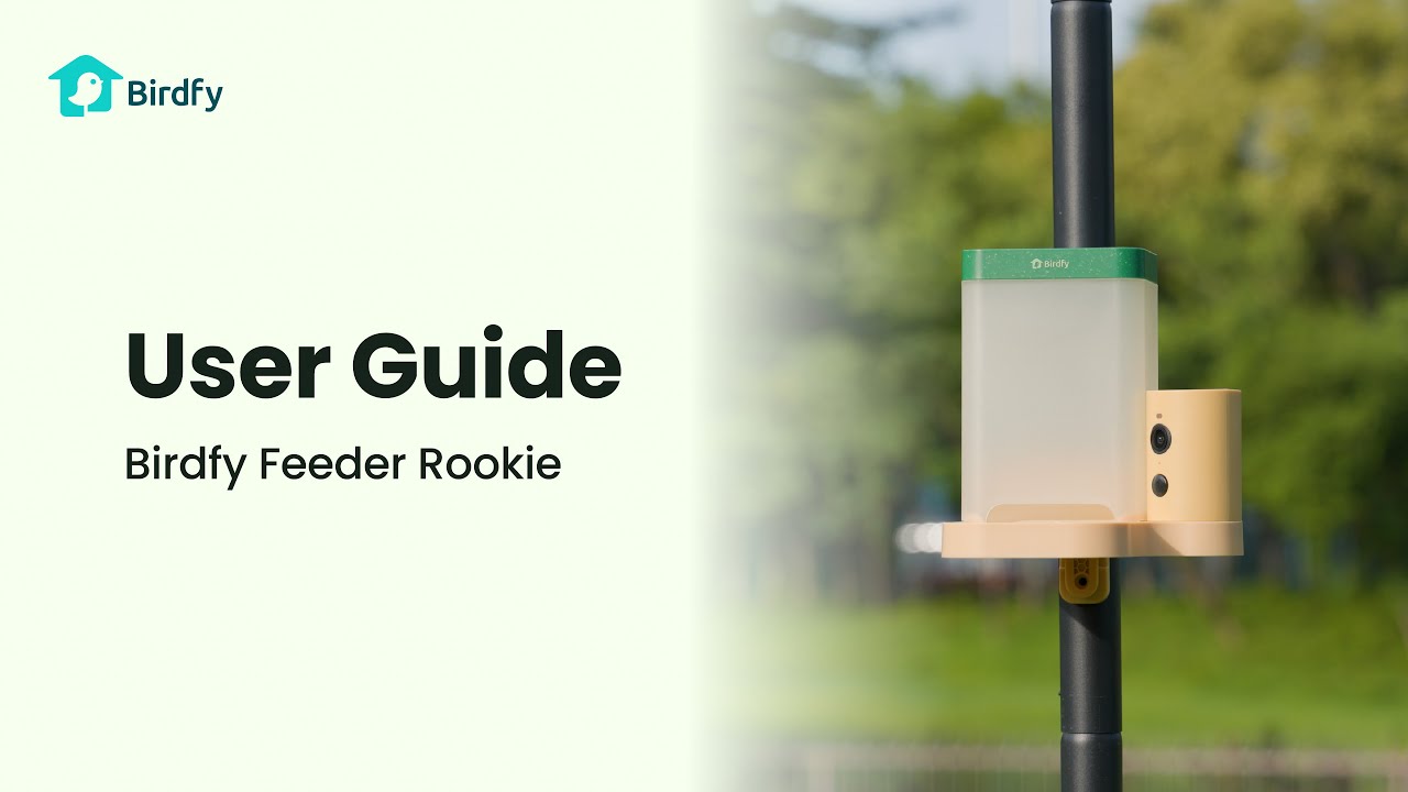 Birdfy Vogelhaus mit Kamera 60 fps 1080p Birdfy Vogelhaus mit Kamera 60 fps 1080p