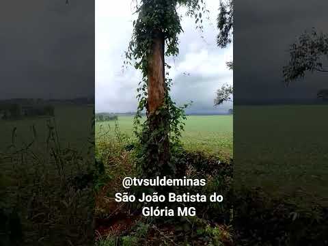 Região das Palmeiras,em São João Batista do Glória MG, minha terra natal