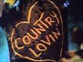 I Love You, I Love You:  David Houston and Barbara Mandrell