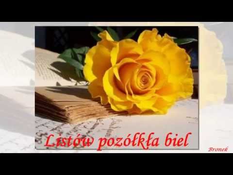 Listów pożółkła biel - Stan Borys