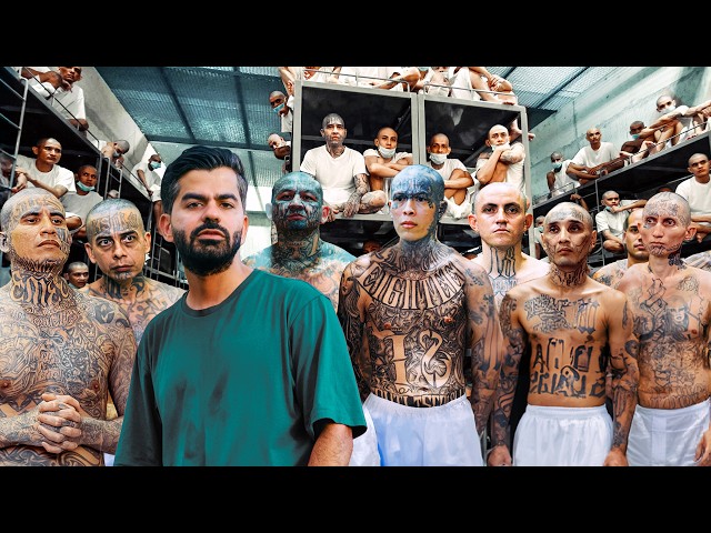 دخلت أخطر سجن بالعالم !! (سجن العصابات في السلفادور)  🇸🇻 CECOT SDDEFAULT Thumbnail