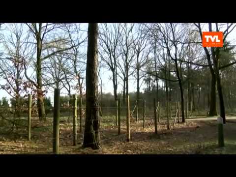 Hamont-Achel: Wereldoorlog I in Noord-Limburg