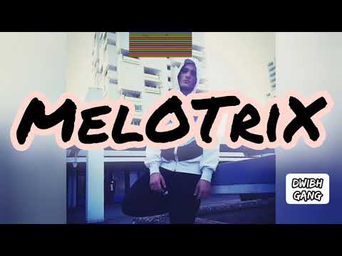 MelOTriX - ❌ Liebe zur Musik ❌ prod.by ElementBeats [Visualizer]