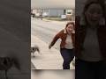 Aggressive Canada goose goes after reporter who gets too close | #canadagoose