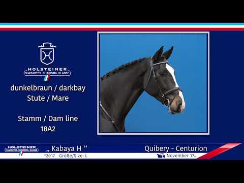 4. Holsteiner Winter-Chance 2022 | Nr. 14 v. Quibery - Centurion