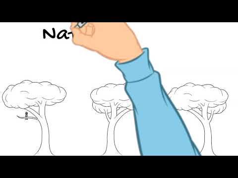 Don't Forget The Pickle on March 30, 2020 - A Notable Day