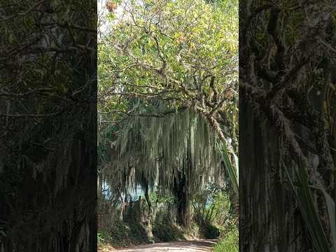 Hermoso paisaje en #Timaná #Huila #colombia