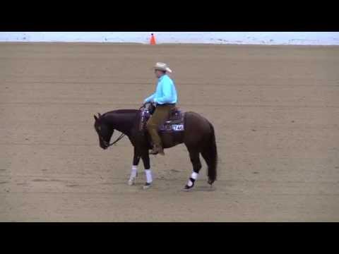 Gunners Tinseltown and Sam Schaffhauser 2013 High Roller Reining Classic