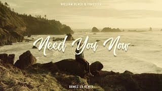 Download lagu Need You Now (Gomez Lx Remix) mp3
