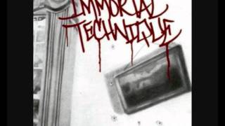 Immortal Technique   Homeland and Hip Hop
