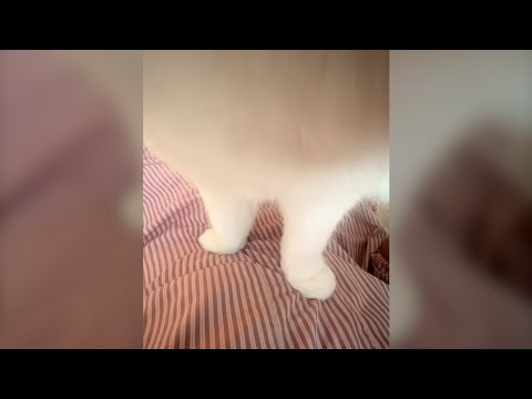 눈 떴는데 가래떡 두개.