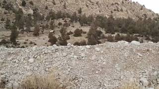 preview picture of video 'Towards Chakoor Tangi Kurbi Kach in Ziarat Balochistan'