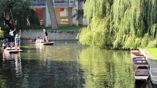 Cambridgeshire Country Walk - Cambridge to Grantchester via the River Cam return