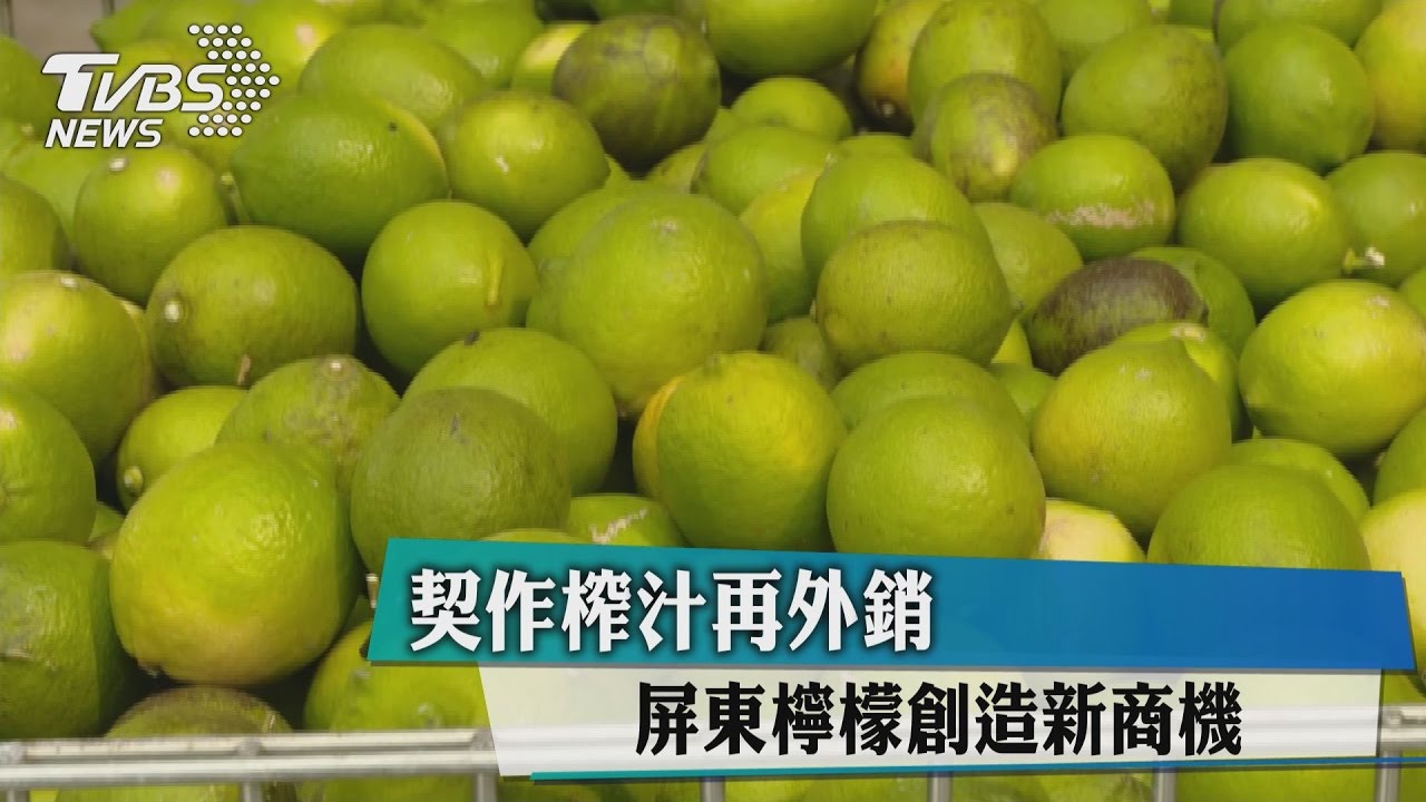契作榨汁再外銷　屏東檸檬創造新商機