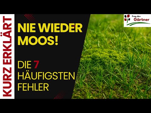 7 echte Ursachen für Moos im Rasen – und wie du sie vermeidest!