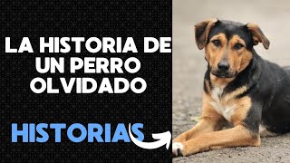 La Historia de un Perro Olvidado
