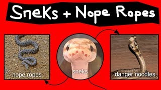 Nope Ropes, Sneks, &amp; Danger Noodles