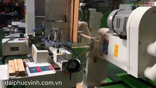 MÁY LÀM MỘNG DƯƠNG CNC 2 ĐẦU WOODMASTER