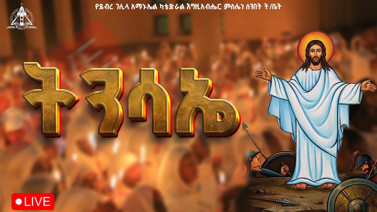 ተነስቷል🟡 በዓለ ትንሣኤ ቀጥታ ስርጭት ከደብረ ገሊላ አማኑኤል ካቴድራል