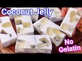 Coconut Jelly Recipe - Coconut Milk & Coconut Water Jello Kids Favorite Dessert | No Gelatin Jelly