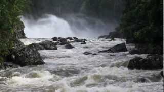 preview picture of video 'Kondalilla Falls & Obi Obi Gorge'
