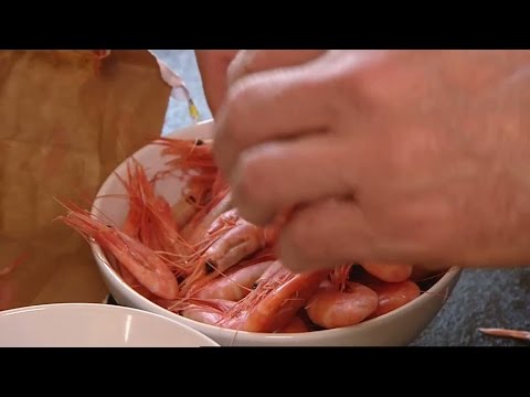 Ljummen skaldjurssallad - Halv åtta hos mig (TV4)