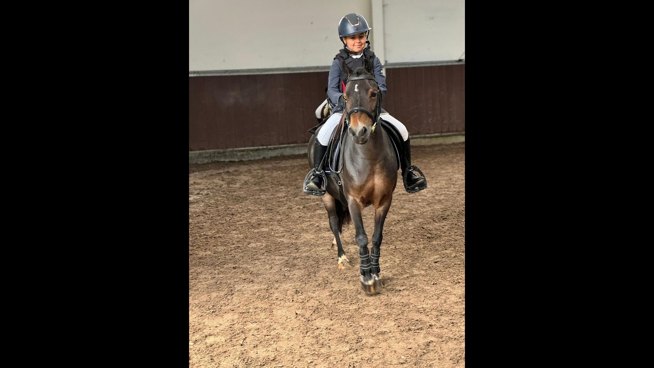 Iesehof Dulce (BREENAKKERS JULIUS x RIAN'S THUNDER) video 3