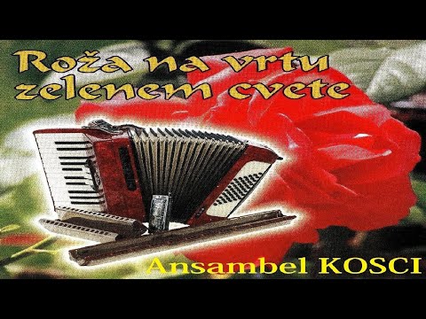 ROŽA NA VRTU ZELENEM CVETE - KCD 160 - Ansambel Kosci iz Mengša