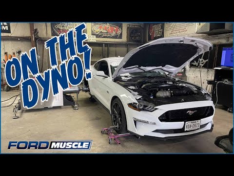 2018-2022 Mustang GT Steeda ProFlow Cold Air Intake Installation With Steeda Custom Tuning