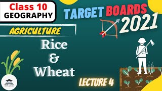 L4 | Chapter 4 Agriculture | All About Rice and Wheat | Class 10 Geography Social Science