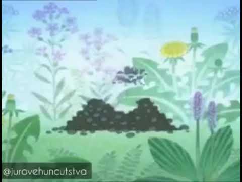 Krteček - dobré ráno