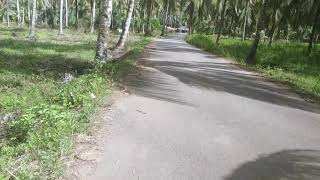 Download lagu NGEVLOG JALAN PERKEBUNAN😍😍 mp3 Download lagu NGEVLOG JALAN PERKEBUNAN😍😍 mp3