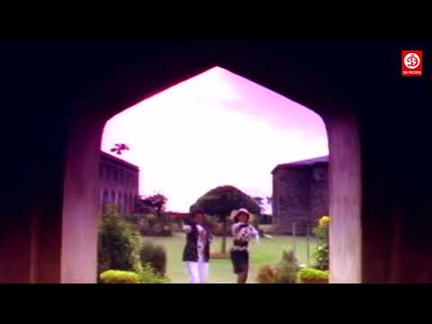 Bhale Donga movie Telugu video songs Hd