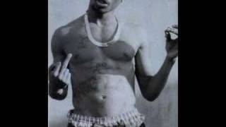 2pac  -  thug 4 life (original)