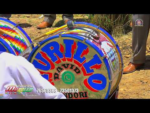 BANDA INTERNACIONAL PAPI MURILLO MIX CUMBIAS CLASICOS