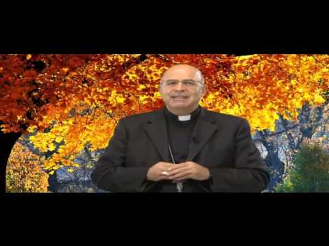 ONDA TG 31.10.2014 - VISITA PASTORALE VESCOVO AD ANVERSA