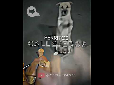 STREET DOGS 🥀 #relevant #sadmoments