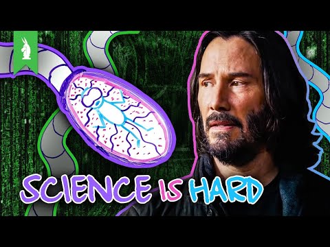 Can We Build the Matrix? | Science is Hard
