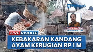 Kebakaran Kandang Ayam 2 Lantai di Kudus Jawa Tengah, Kerugian Pemilik Capai Rp 1 Miliar