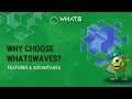 whatswaves features and advantages