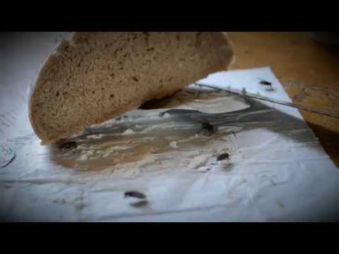 Tranzan - TRANZAN - Vlastním, tedy jsem (oficiální video)